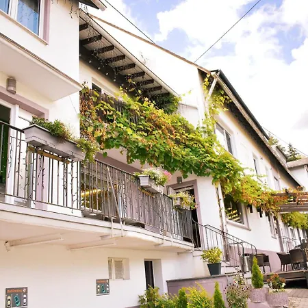 Hike By Emmerich Hotel 2*